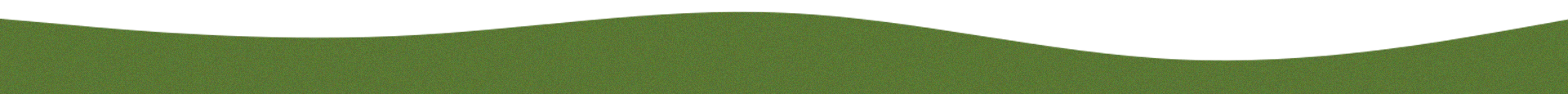 Simple green landscape with dark green sky and grass