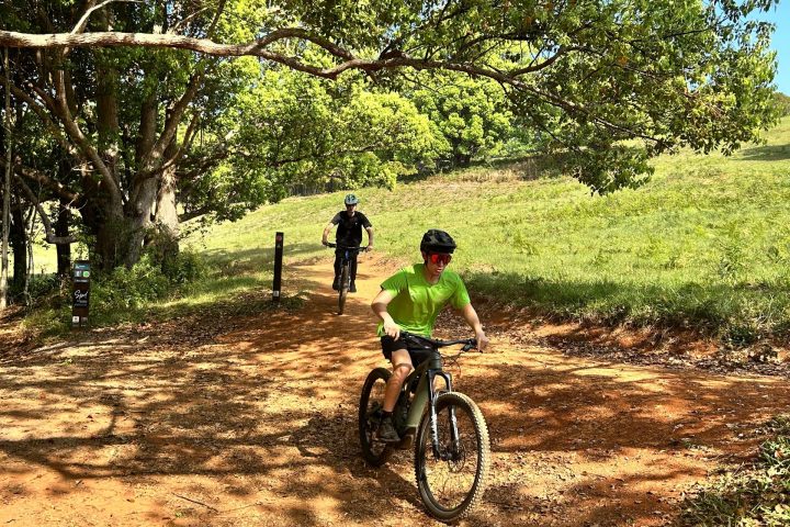 Two people biking on a dirt path under trees in a sunny park.