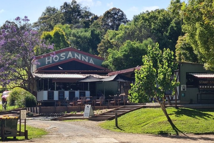 Outdoor cafe named Hosanna, with purple tree, surrounded by greenery and tables.