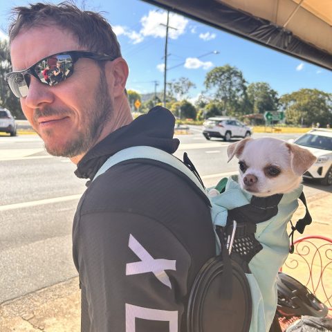 Man with sunglasses carrying a small dog in a backpack on a sunny day.
