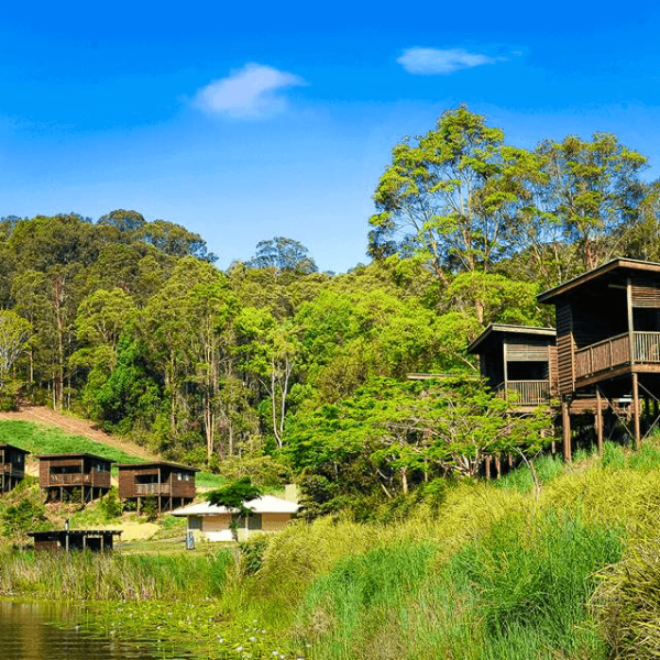 Wooden cabins on a grassy hillside surrounded by trees under a clear blue sky.
